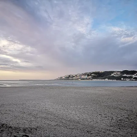 Villa Morden Archictectural In Lisbon *